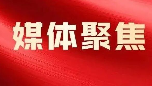 央视新闻|翻译软件3个关键环节最易泄密 奇安信安全专家详细解读