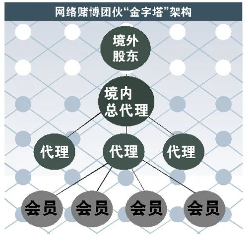 揭秘《孤注一掷》中的黑产现实图景，电子数据鉴定助力反诈