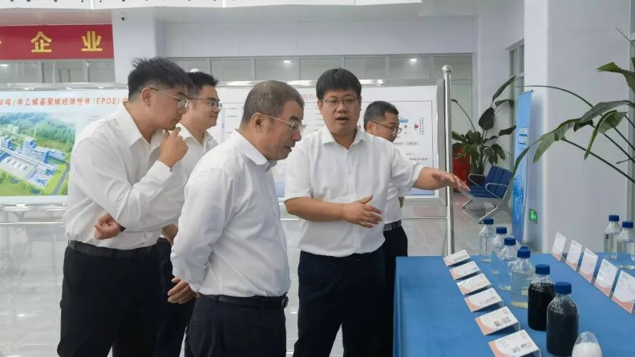 齐向东一行赴东明石化集团座谈交流