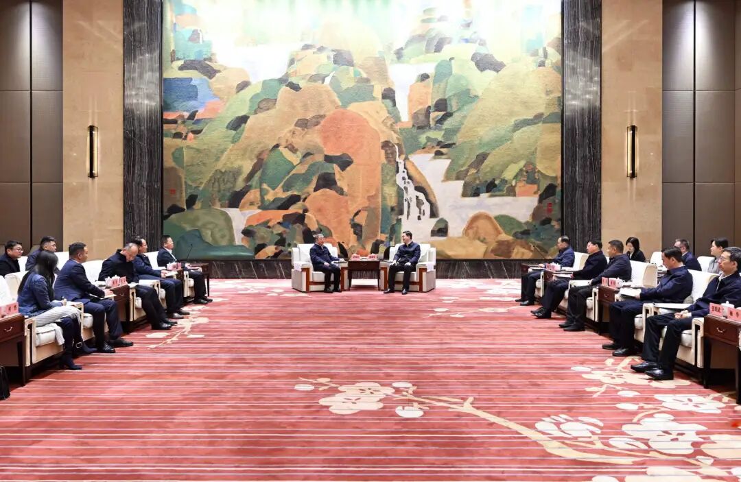 武汉市委书记盛阅春会见齐向东