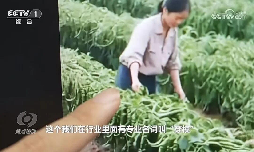 央视《焦点访谈》专访奇安信：警惕AI带货“李鬼”