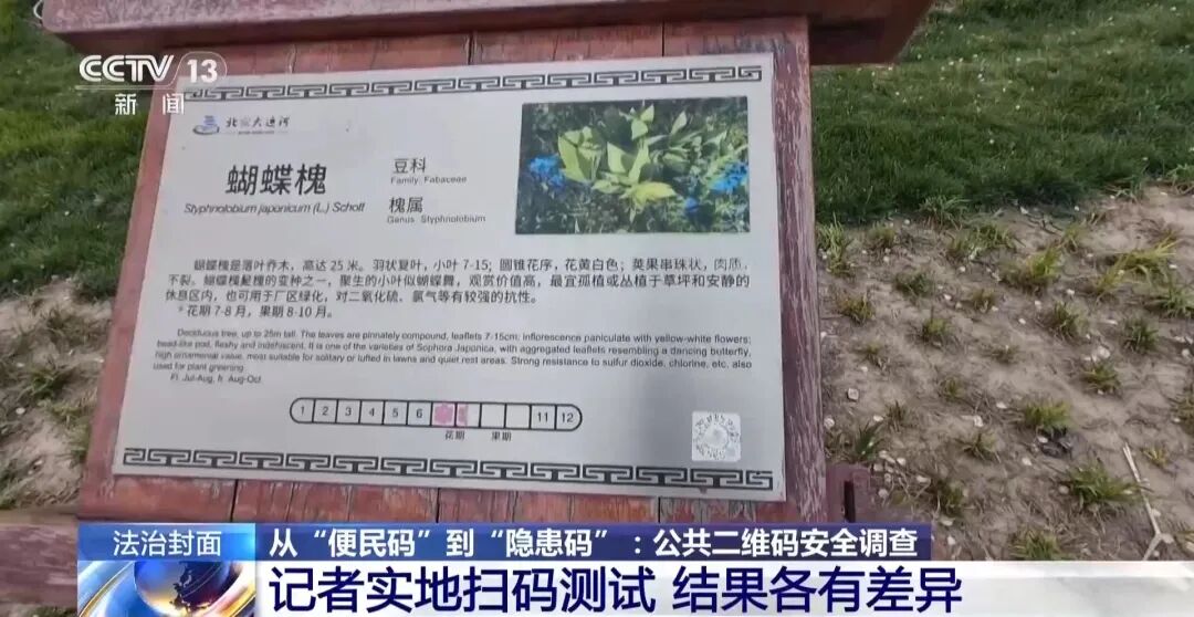 央视新闻 | ca88登陆平台专家揭秘公共二维码变涉黄码、诳骗码 该若何防备和治理