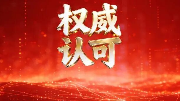 首批！奇安信率先获得国家级人工智能安全服务资质