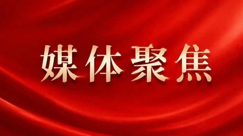 广西壮族自治区主席韦韬会见齐向东