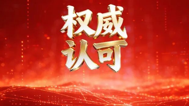 奇安信获评NVDB多个安全漏洞专业库年度技术支撑单位