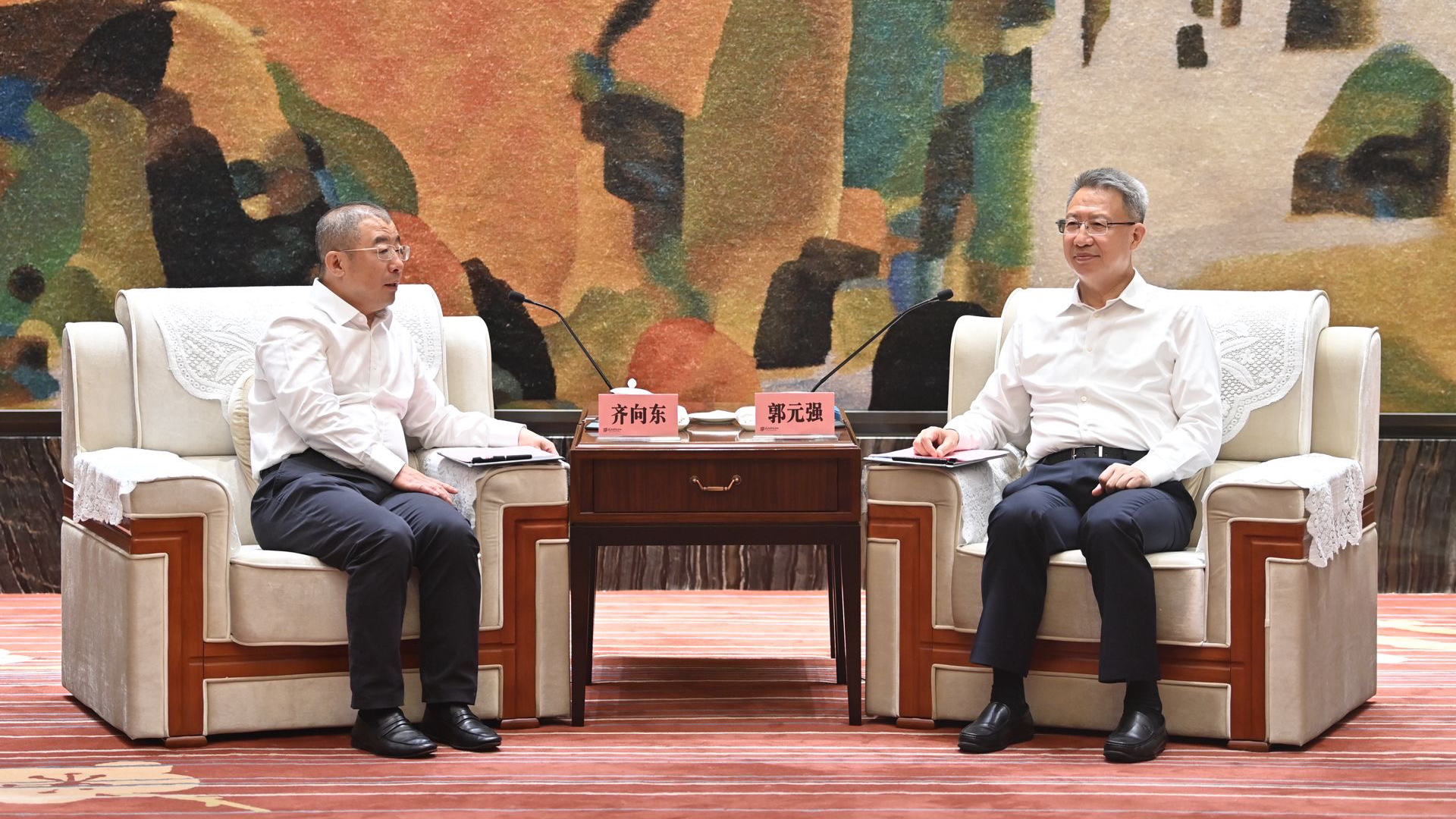 武汉市委书记郭元强、市长盛阅春会见齐向东